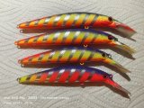 IMG_20240107_001358.jpg