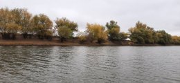20241022_144523.jpg