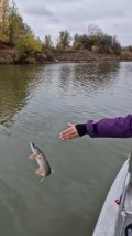 VideoCapture_20241022-110821.jpg