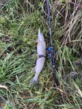 IMG_1758.jpeg