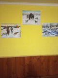 IMG_20241024_190343.jpg