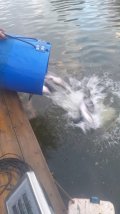 07183ae1-3d65-49d9-adee-38507d65ec0b.jpeg