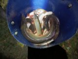 IMG_20241026_052102_497.jpg