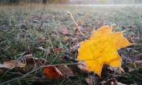 IMG_20241026_100537.jpg