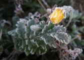 IMG_20241026_100457.jpg