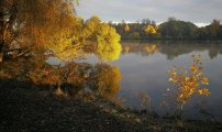 IMG_20241026_100026.jpg