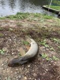 IMG_0612.jpeg