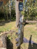 IMG_0282.jpeg