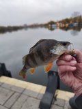 IMG_20241027_170939.jpg