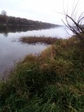 IMG_20241028_162257.jpg
