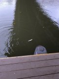 IMG_20241029_163339.jpg