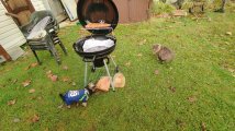 IMG_20241029_104628.jpg