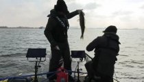 IMG_9649.jpeg
