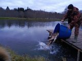IMG_20241103_165500_141.jpg