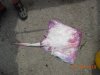 DSCN3345.JPG