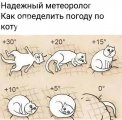 IMG_20241107_101028.jpg