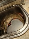 IMG_20241107_162237.jpg