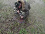 DSCF9285.JPG
