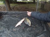 DSCF9298.JPG