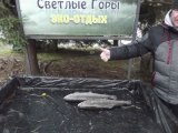 DSCF9305.JPG