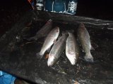 DSCF9314.JPG
