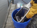 DSCF9352.JPG