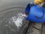 DSCF9354.JPG