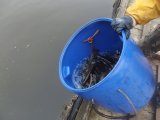DSCF9364.JPG