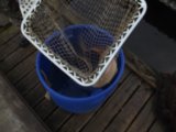 DSCF9411.JPG