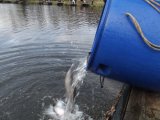 DSCF9439.JPG