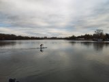 IMG_20241109_153702.jpg