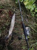 IMG_0389.jpeg