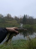 IMG_0380.jpeg
