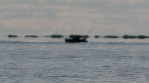1731579440355.png
