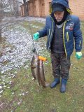 IMG-20241114-WA0013.jpg