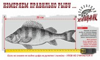 хищник 24.jpg