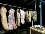 IMG_20240917_203719.jpg