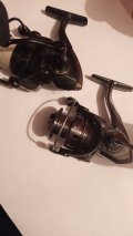 IMG_20201113_032346.jpg
