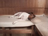 IMG_20241117_082932_366.jpg
