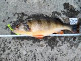 IMG20241124092034.jpg