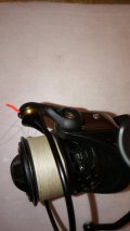 IMG_20241125_230322.jpg