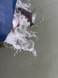 IMG_4987.jpeg