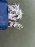 IMG_4989.jpeg