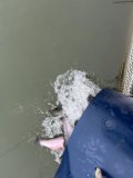 IMG_4999.jpeg