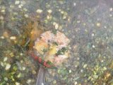 IMG_6151.jpeg