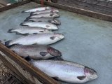IMG_7792.jpeg
