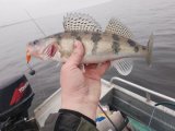 IMG_20241201_092414_379.jpg