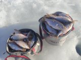 IMG_20240307_152454.jpg