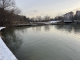 IMG_4930.jpeg