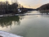 IMG_4937.jpeg